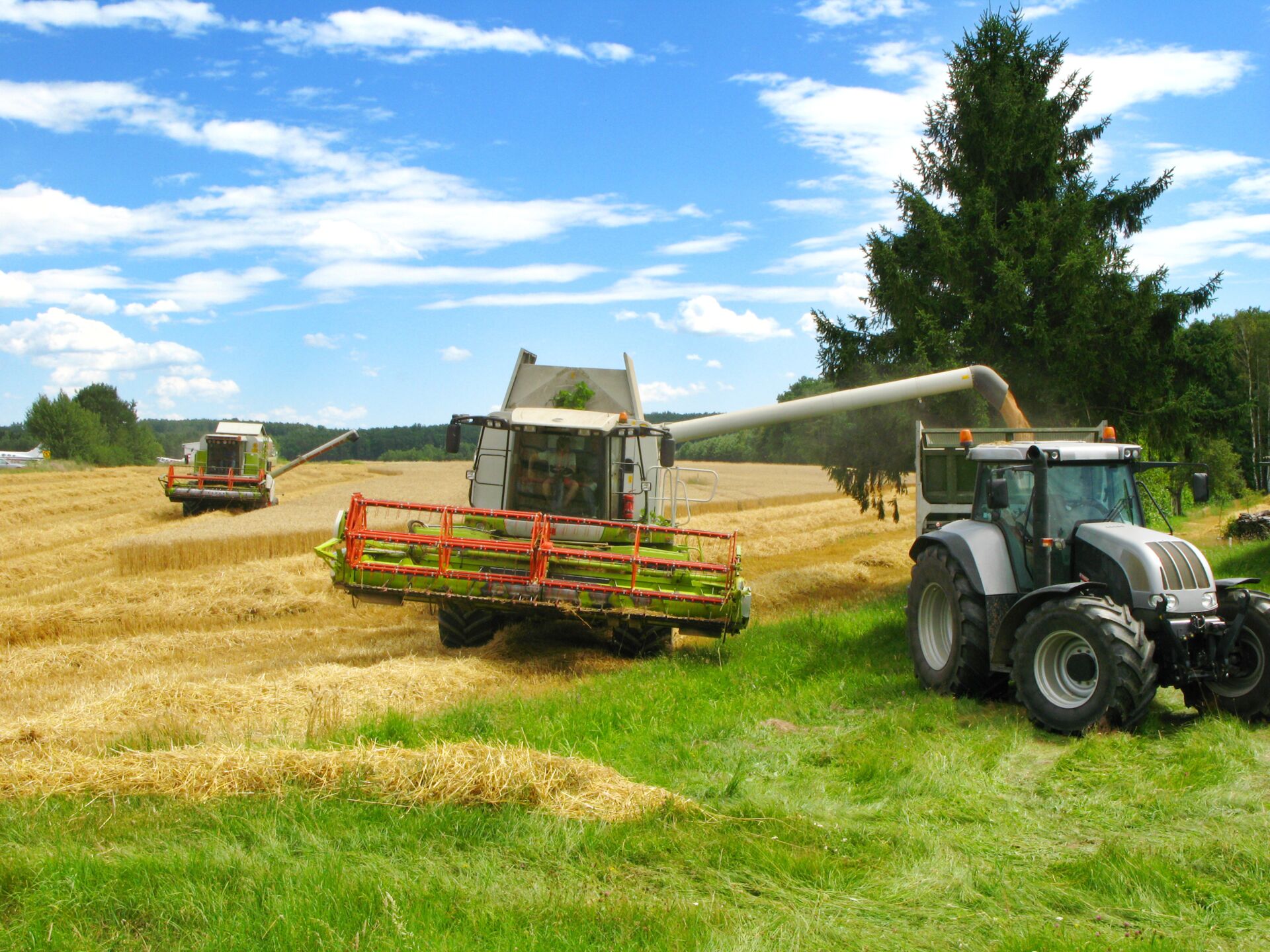 Ernte Feld Landwirtschaft Ähre